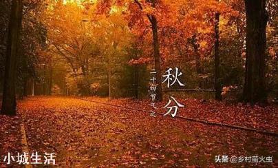 秋分节气到了，农村老人说“秋分节气宜雨不宜晴”，这是为什么？