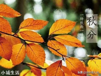 秋分节气到了，农村老人说“秋分节气宜雨不宜晴”，这是为什么？