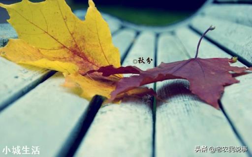 秋分节气到了，农村老人说“秋分节气宜雨不宜晴”，这是为什么？
