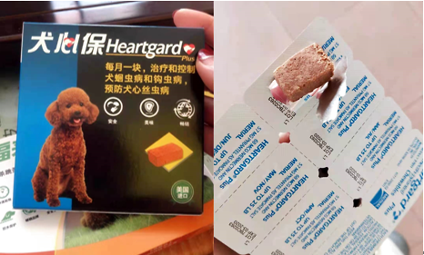 狗狗拉肚子吃什么药比较好?快快收藏!