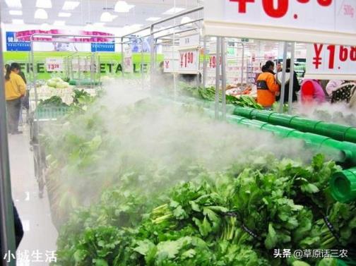 为什么大部分市场的菜从早卖到晚看上去还是很新鲜？