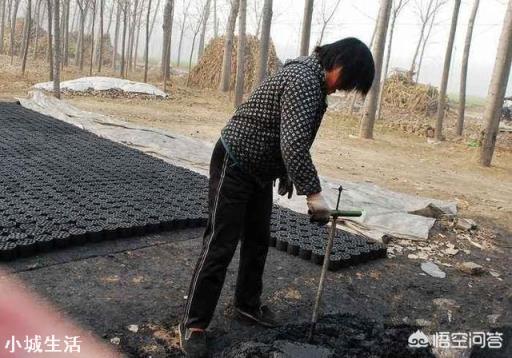 农民自己做蜂窝煤，为什么煤炭里面要放黄泥巴？