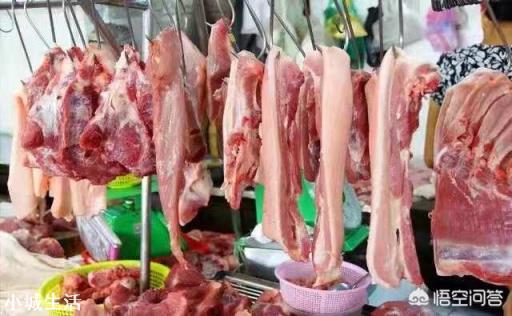 9月4日猪价：东北全线下跌，算是新一轮下跌的信号吗？
