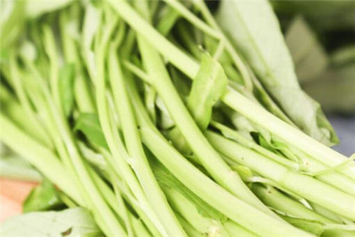 空心菜可以生吃吗？
