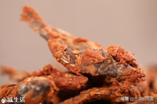 农村水塘有一种小鱼叫做“爬地虎”，为什么过去没人要，现在却越来越贵？能养殖吗？