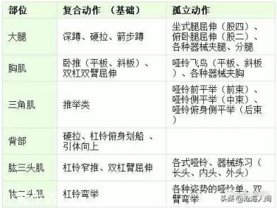 肌肉的增长原理是什么?