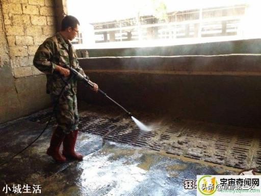 非洲猪瘟病毒在阳光下存活时间到底有多久？如何防范？