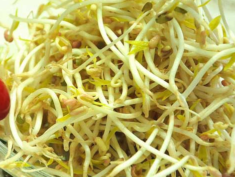 黄豆芽有什么功效与作用