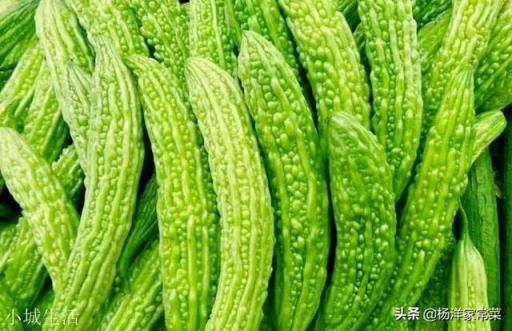 夏天怎么做美味的苦瓜啊？