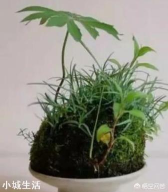 家里不用的旧碗碟怎么处理？可以丢掉吗？