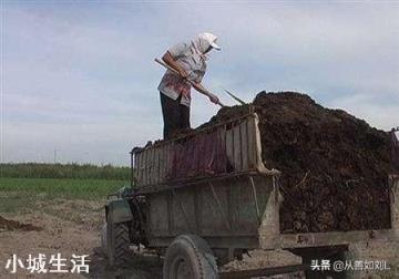 胡萝卜怎样种植能高产?