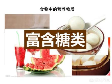 碳水化合物都包括什么？