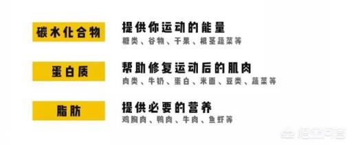健身初期需要去吃一些健身补剂吗？为什么？