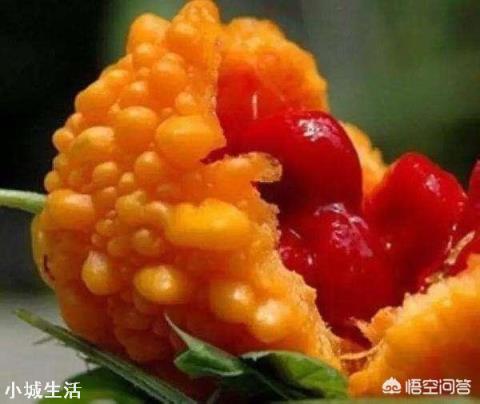 長得跟苦瓜很相似的賴葡萄，味道很甜，為什么現在很種植的人少了？