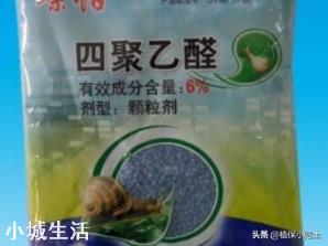 花生大豆地用鹽水治蝸牛怎么配比？