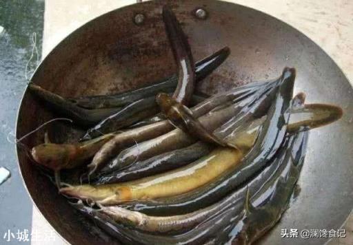 在农村水库抓到一条2斤重的泥鳅，背上居然长刺了，这是怎么回事？能吃吗？