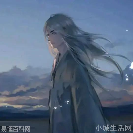 披星戴月是什么意思(披星戴月的网络用语是什么梗)