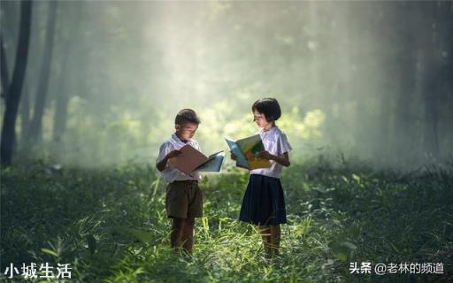 如何为孩子打造家庭阅读环境?