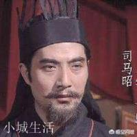 司马懿的儿子个个龙虎,为何诸葛亮的儿孙却是草包?