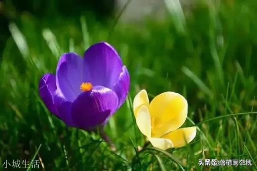 什么颜色的裙子最有气质?