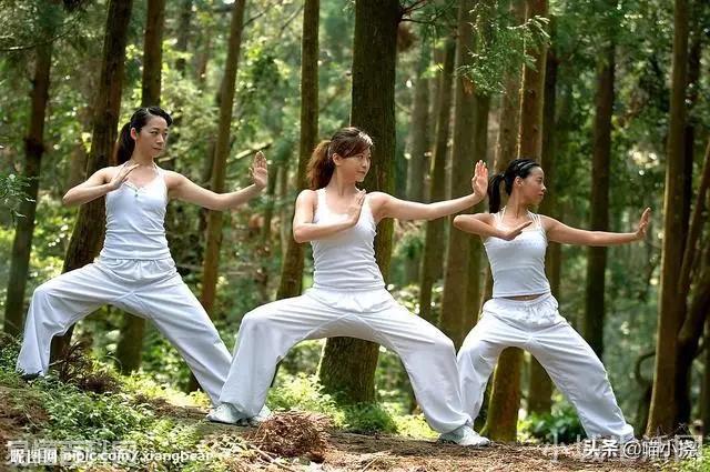 墨客是什么意思(墨客的网络用语是什么梗)
