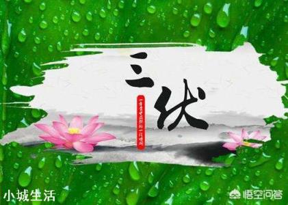 明日入伏，入伏吃什么好？农村俗语“头伏饺子二伏面”是啥道理？