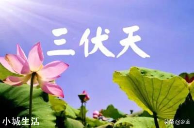 明日入伏，入伏吃什么好？农村俗语“头伏饺子二伏面”是啥道理？