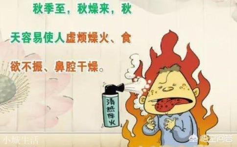白露后应该怎样养生？