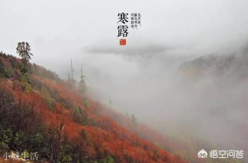 秋深了，有哪些关于秋的诗歌呢？