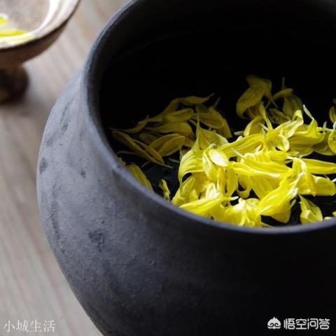 一场秋雨一场凉，寒露时节如何养生才会让身体更好？