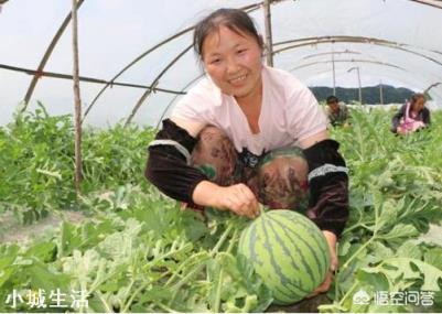 要想是西瓜甜度增加，采用什么种植技术？