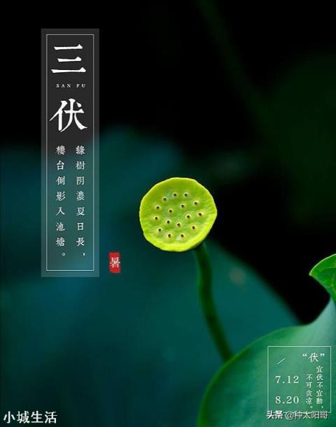 农村节气老话“夏节三庚数伏天”，到底这个“三庚”多少天？这个“伏天”又是那个伏？