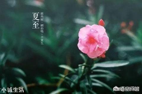 农村节气老话“夏节三庚数伏天”，到底这个“三庚”多少天？这个“伏天”又是那个伏？