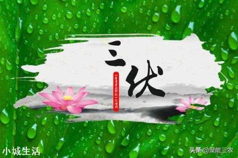 农村节气老话“夏节三庚数伏天”，到底这个“三庚”多少天？这个“伏天”又是那个伏？