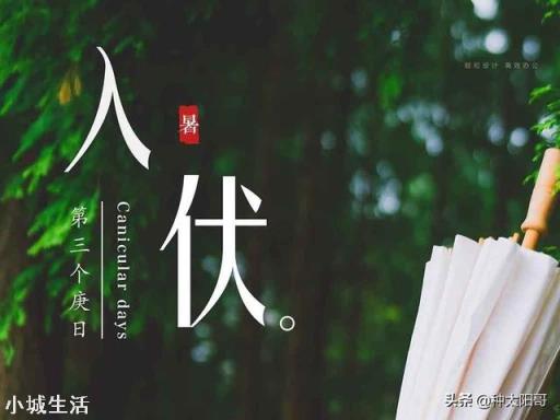 农村节气老话“夏节三庚数伏天”，到底这个“三庚”多少天？这个“伏天”又是那个伏？