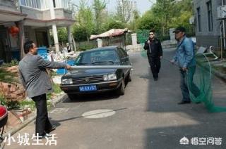 在农村，怎样辨识偷狗贼？