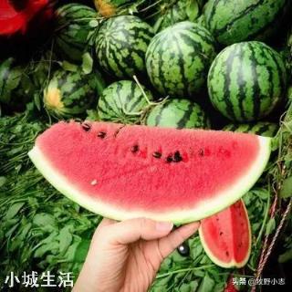 醋可以让西瓜增产丰收吗？为什么？