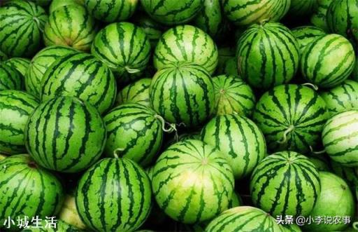 醋可以让西瓜增产丰收吗？为什么？