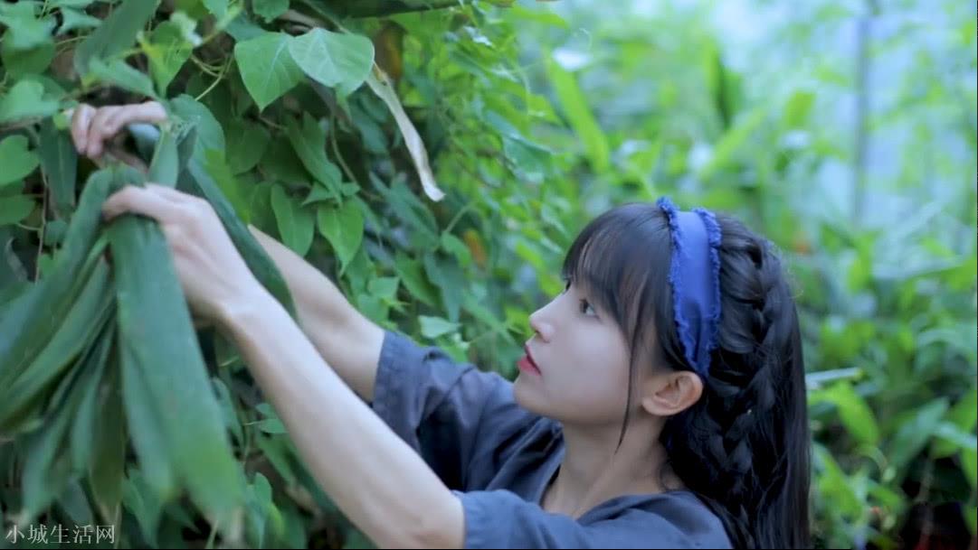 字节跳动，悄悄投了李子柒，终究变成了字节系网红