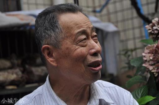 “好男不娶虎刺梅，好女不嫁流光锤”，什么是虎刺梅流光锤？