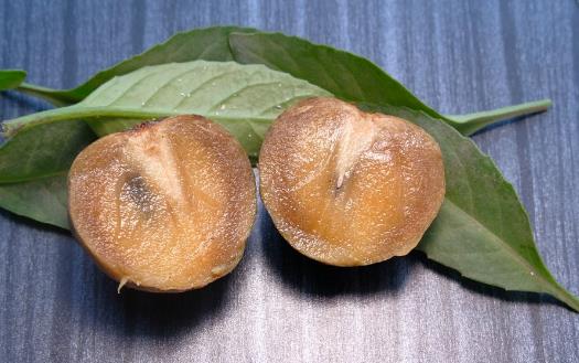 这7种水果不要错过 吃水果可以瘦肚子