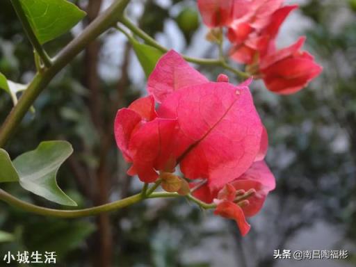手机现在的功能这么多，还有人买平板电脑吗？