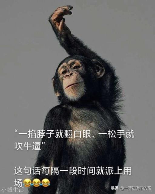 董明珠昨天说要造车,今天说要造中国芯片。你认为能成功吗?