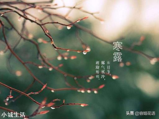 为什么说八月寒露抢着种地？