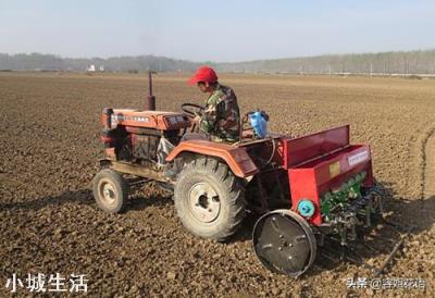 为什么说八月寒露抢着种地？