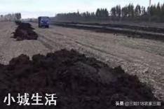 种植农作物能彻底摆脱化肥吗？