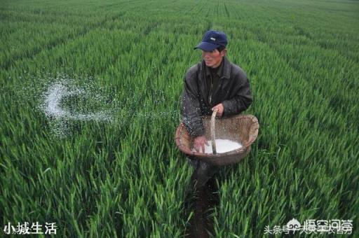 种植农作物能彻底摆脱化肥吗？