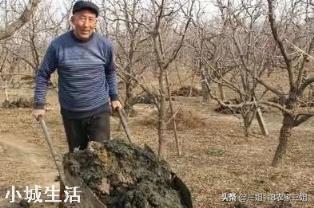 种植农作物能彻底摆脱化肥吗？