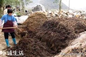 种植农作物能彻底摆脱化肥吗？