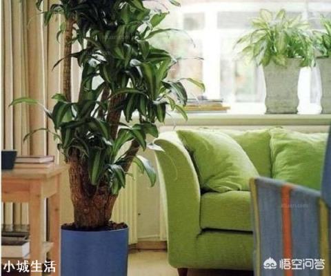 家装如何巧妙设计隔断？